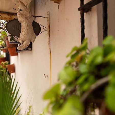 Apartmán El Patio De La Vina By Gades Gestion Cádiz Exteriér fotografie