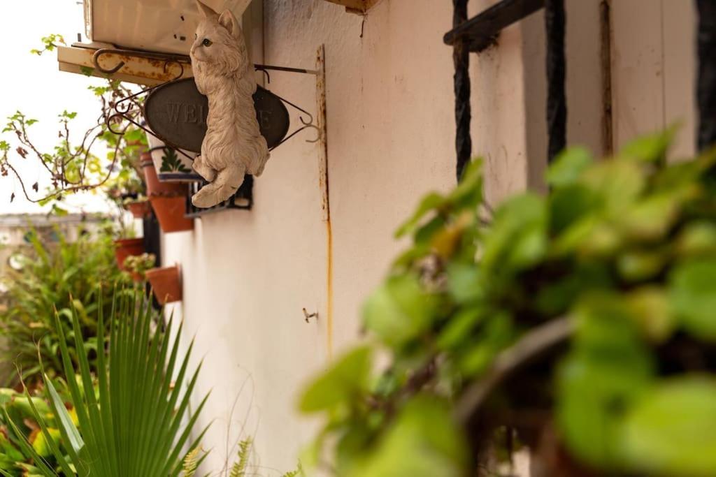 Apartmán El Patio De La Vina By Gades Gestion Cádiz Exteriér fotografie