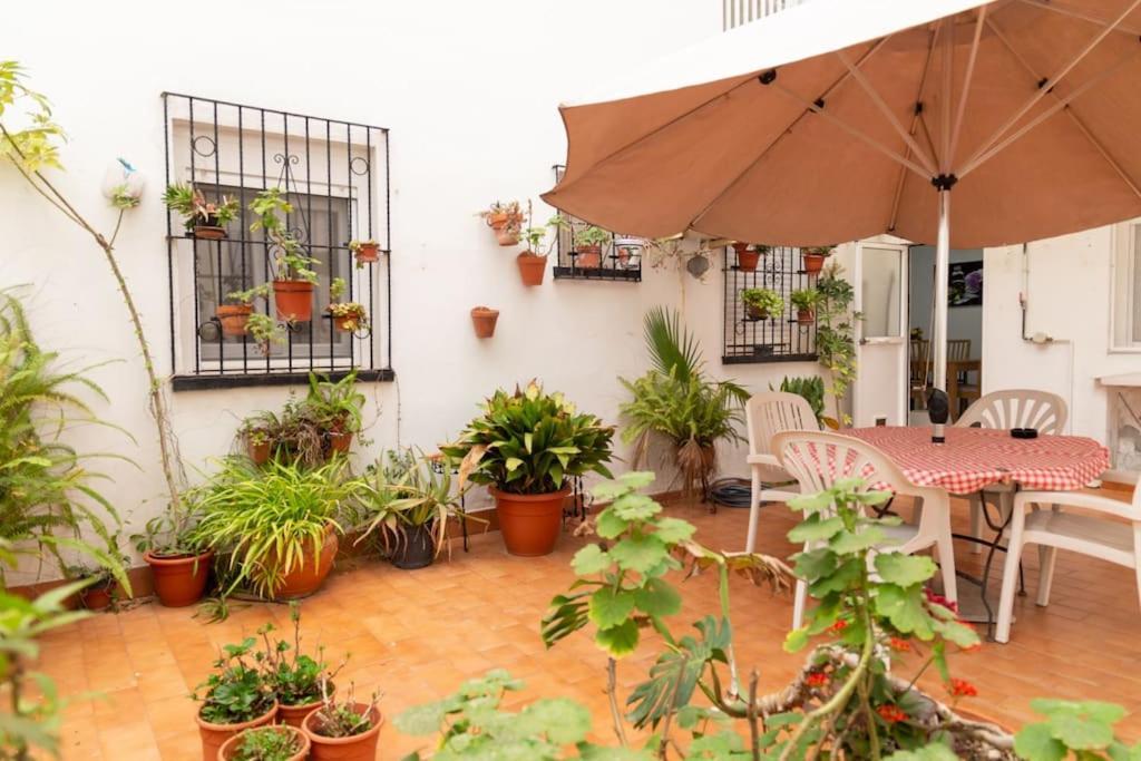 Apartmán El Patio De La Vina By Gades Gestion Cádiz Exteriér fotografie